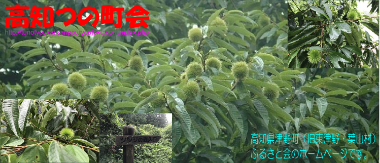 ようこそ！高知つの町会ホームページへ・・・！