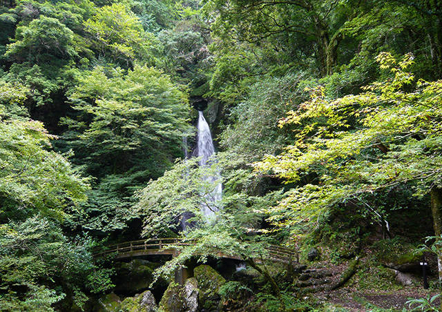   80%,長沢の滝